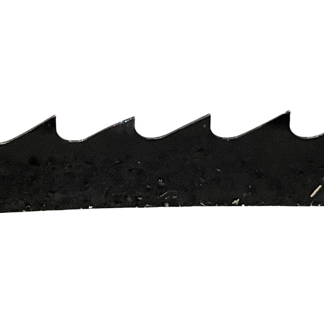 BASA1 Saw Band