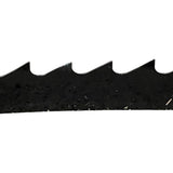 BASA1 Saw Band