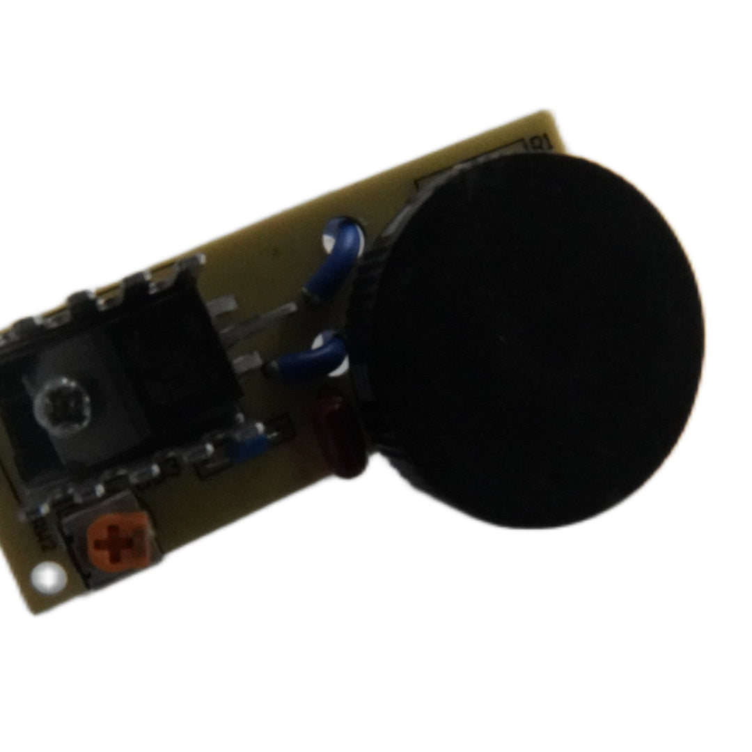1609003 Speed controller PCB